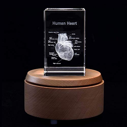 3D-Briefbeschwerer, menschliches Herz mit Etiketten, anatomisches Modell, Lasergravur, in Kristallglas, Würfel, Geschenk (inklusive LED-Basis) von XINDAM