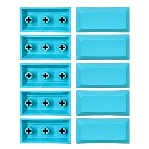 XINYIN DSA Keycap Blanks Persönlichkeitsergänzung Leere Tastenkappen 2U 10 Stück Mattes Finish Set Tastenkappen in mehreren Farben Zubehör für mechanische Tastatur von XINYIN