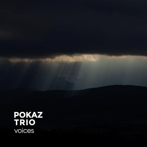Voices [Vinyl LP] von XJAZZ! Music