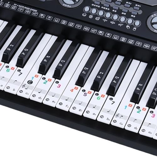 Piano Notes Guide für Anfänger, abnehmbare Klavier -Tastatur -Labels, 88/61/49/37 transparente und abnehmbare Aufkleber für Anfänger und Schüler oder Kinder von XJKLBYQ