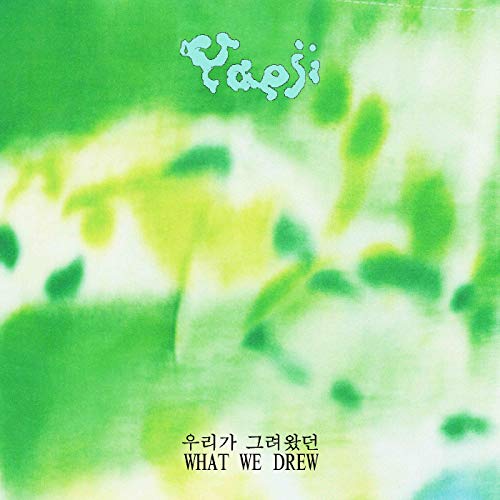 What We Drew [Vinyl LP] von XL Recordings