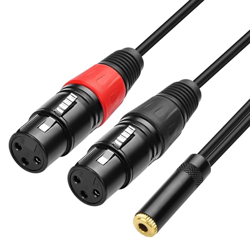 XMSJSIY Dual XLR zu 3.5mm Jack Mikrofonkabel Dual XLR Buchse zu 3.5mm 1/8 TRS Jack Audio Stereo Kabel Y-Splitter Kabel Computer oder Telefon zum Lautsprecher Breakout Lead Adapter Kabel - 24CM/9inch XMSJSIY Dual XLR zu 3.5mm Jack Mikrofonkabel Dual XLR Buchse zu 3.5mm 1/8 TRS Jack Audio Stereo Kabel Y-Splitter Kabel Computer oder Telefon zum Lautsprecher Breakout Lead Adapter Kabel - 24CM/9inch von XMSJSIY