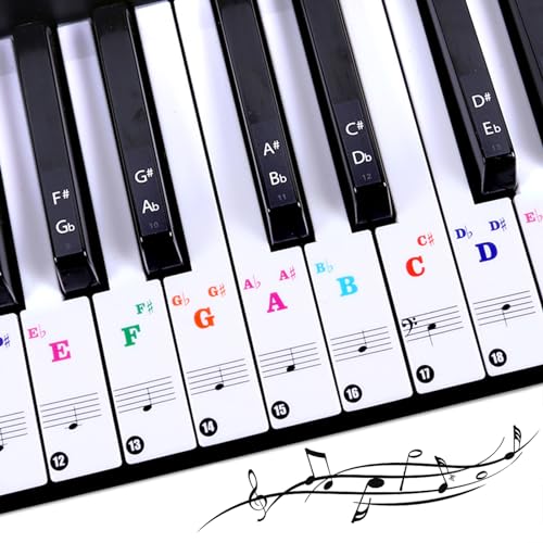 XPOOP Klavier Keyboard Aufkleber Klaviertastatur Aufkleber Klaviernoten Aufkleber Entfernbar für 88/61/54/49 Tasten Noten für Keyboard Anfänger Bunt Noten Aufkleber Klaviertasten Aufkleber von XPOOP