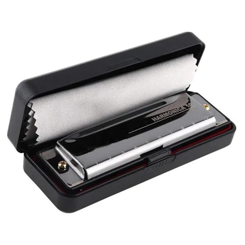Professionelle Mundharmonika 10 Löcher 20 Töne Mattgold Schwarz Tragbare Mundharmonika Blues(Black) von XSQKUYN