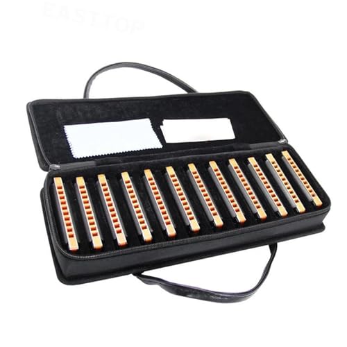 Professionelle Mundharmonika 10 Löcher Diatonische Blues Mundharmonika Set Von 12 Harfen Set Für Erwachsene Profis von XSQKUYN