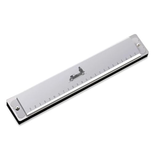 Professionelle Mundharmonika 24 Loch C Melodie Polyphone Mundharmonika Professionelle Anfänger Und Erwachsene Mit Etui(24 Silver) von XSQKUYN