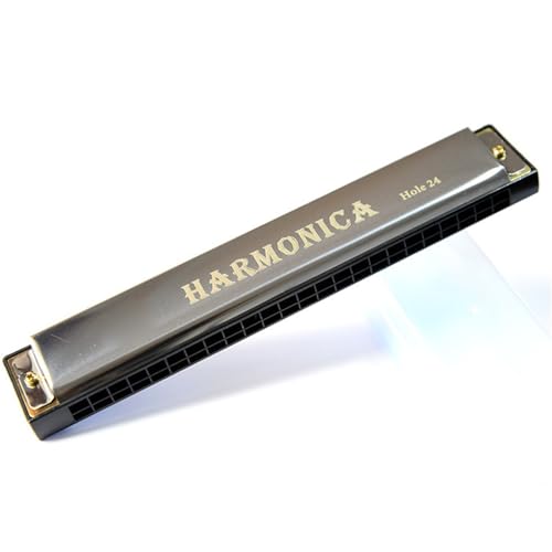 Professionelle Mundharmonika 24 Loch C Mundharmonika Für Anfänger Für Üben Des Spiels(Silver) von XSQKUYN
