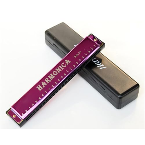 Professionelle Mundharmonika 24 Loch Einzelton C Mundharmonika Aus Titan(Purple) von XSQKUYN