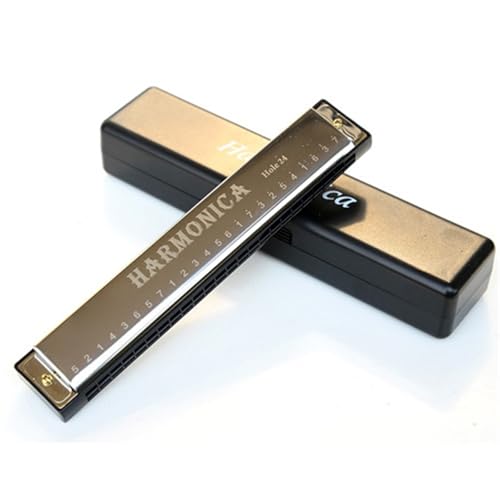 Professionelle Mundharmonika 24 Loch Einzelton C Mundharmonika Aus Titan(Silver) von XSQKUYN