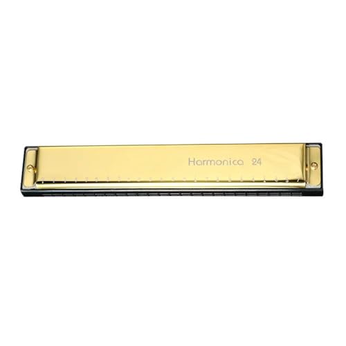 Professionelle Mundharmonika 24 Loch Metallmundharmonika Für Anfänger Mit Kupferkern Und Blues(Golden) von XSQKUYN