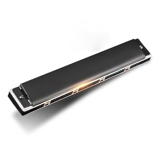 Professionelle Mundharmonika 24 Loch Mundharmonika Polyphoner Akzent C Tonart Professionelle Leistung(Type 4) von XSQKUYN