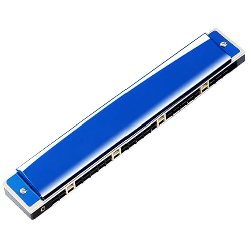 Professionelle Mundharmonika 24 Loch Polyphone 28 Akzent C Mundharmonika Musikinstrument(Type 1) von XSQKUYN