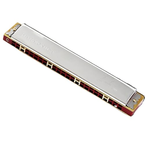 Professionelle Mundharmonika 24 Loch Polyphone C Mundharmonika Verdickte Abdeckung Professionelle Stimmung(Silver) von XSQKUYN