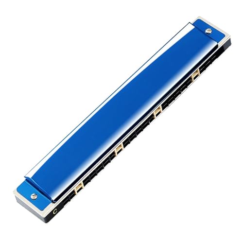 Professionelle Mundharmonika 24 Loch Polyphone C Tonart 28 Akzent Mundharmonika(Type 1) von XSQKUYN
