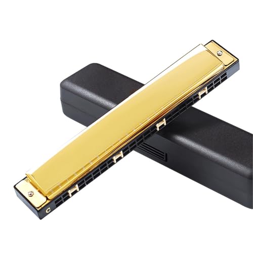 Professionelle Mundharmonika 24 Loch Polyphone C Tonart 28 Akzent Mundharmonika(Type 10) von XSQKUYN