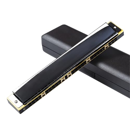 Professionelle Mundharmonika 24 Loch Polyphone C Tonart 28 Akzent Mundharmonika Für Tägliches Üben Und Auftritte(Type 13) von XSQKUYN