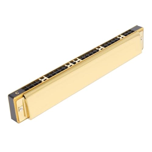 Professionelle Mundharmonika 28 Loch Mundharmonika Polyphonie Akzent C Anfänger Professionelle Leistung(Gold) von XSQKUYN
