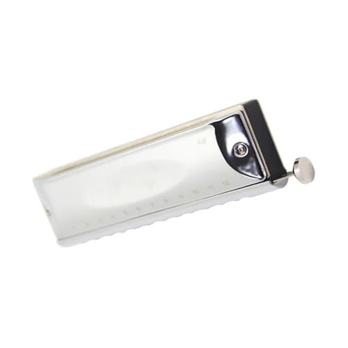 Professionelle Mundharmonika Anfänger Erwachsene 12 Loch 48 Ton Chromatische Mundharmonika Alt D Key(Key D) von XSQKUYN