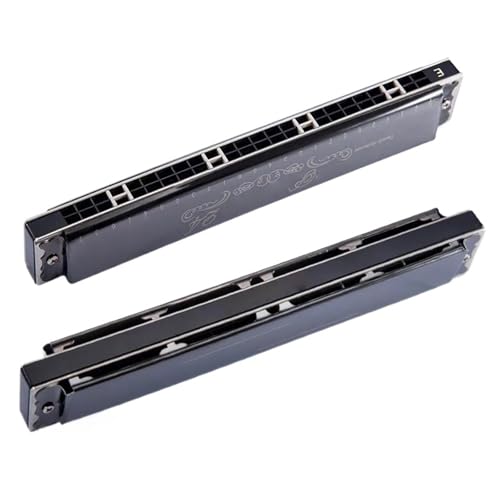 Professionelle Mundharmonika Anfänger Und Erwachsene 24 Loch C Tonart Polyphone Mundharmonika Klarer Ton(Black) von XSQKUYN
