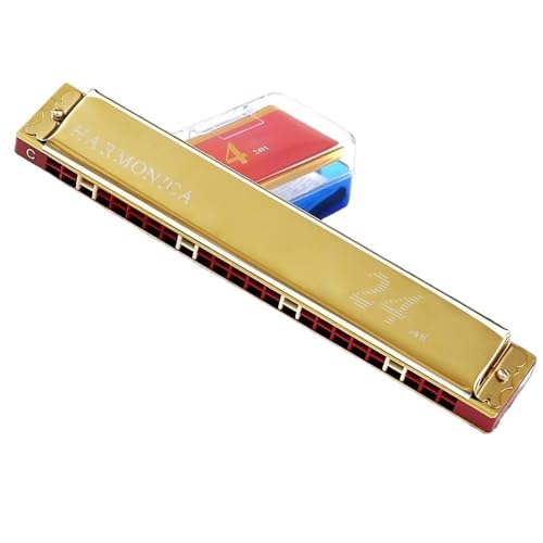 Professionelle Mundharmonika Anfänger Und Erwachsene 24 Loch Polyphone C Mundharmonika ABS Harzbünde(Gold) von XSQKUYN