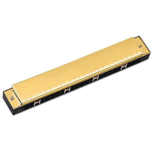 Professionelle Mundharmonika Blues 24 Löcher C Ton Mundharmonika Musikinstrument(Type2) von XSQKUYN