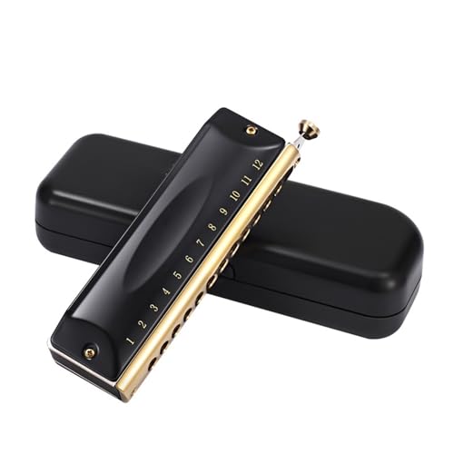 Professionelle Mundharmonika Chromatische Mundharmonika 12 16 Löcher Professionelles Musikinstrument(Type 1) von XSQKUYN