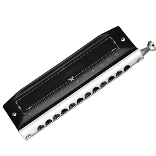 Professionelle Mundharmonika Chromatische Mundharmonika Für Anfänger Und Erwachsene Tonart C 10 Löcher 20 Töne(1248) von XSQKUYN