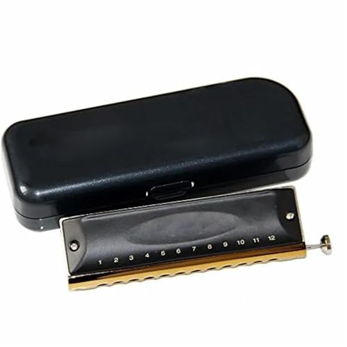 Professionelle Mundharmonika Chromatische Mundharmonika Kupfer 12 Löcher 48 Töne C Instrument Musical(Black) von XSQKUYN