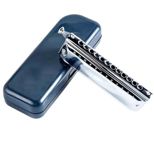 Professionelle Mundharmonika Chromatische Mundharmonika Kupfer 12 Löcher 48 Töne C Instrument Musical(Silver) von XSQKUYN