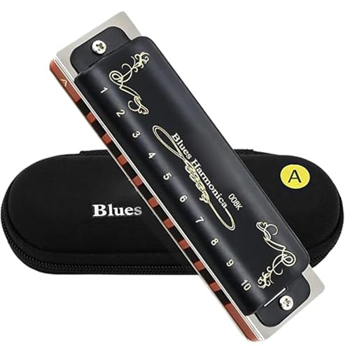 Professionelle Mundharmonika Diatonische Mundharmonika Für Erwachsene Professionelle Leistung 10 Löcher 20 Töne Blues(Key of A) von XSQKUYN