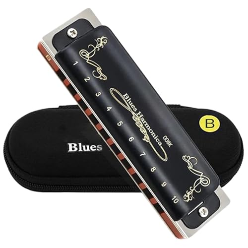 Professionelle Mundharmonika Diatonische Mundharmonika Für Erwachsene Professionelle Leistung 10 Löcher 20 Töne Blues(Key of B) von XSQKUYN