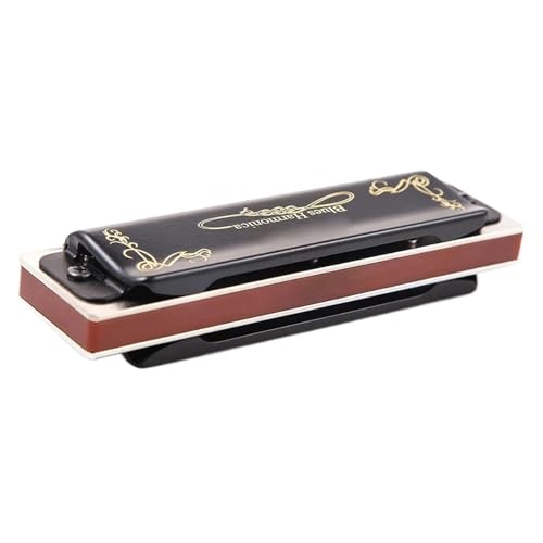 Professionelle Mundharmonika Leistungsniveau Diatonische Blues Mundharmonika Tonart C 10 Löcher 20 Töne(Key of A) von XSQKUYN