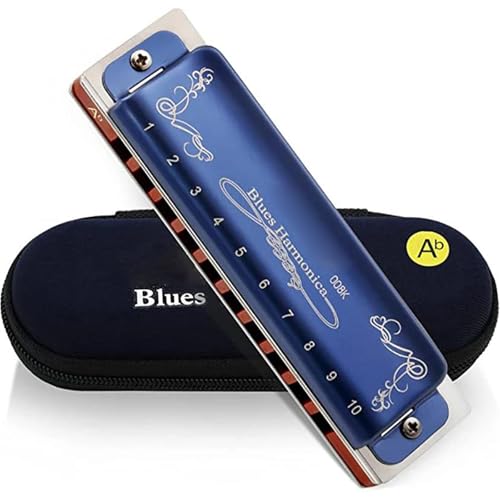 Professionelle Mundharmonika Mundharmonika Für Erwachsene 10 Löcher 20 Töne Diatonisch Blues Mit Etui(Key of Ab) von XSQKUYN