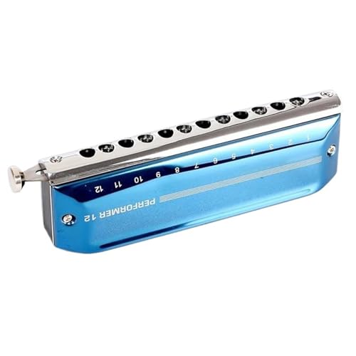 Professionelle Mundharmonika Musikliebhaber 12 Löcher 48 Ton Chromatische Mundharmonika(D) von XSQKUYN