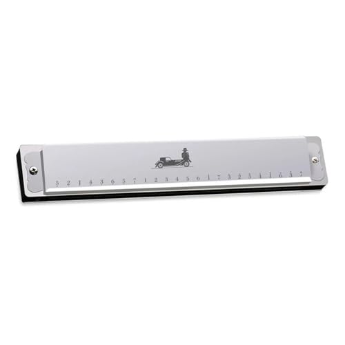 Professionelle Mundharmonika Professionelle Polyphone Mundharmonika Mit 24 Löchern Und C Stimmung Mit Instrumentenkoffer(24 Silver) von XSQKUYN