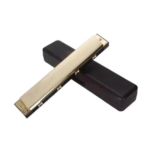 Professionelle Mundharmonika Tragbare Mundharmonika Mit 24 Löchern In C Tonart Klarer Ton(Gold) von XSQKUYN