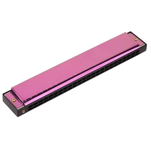 Professionelle Mundharmonika Tragbares Polyphones C Mundharmonika Musikinstrument Mit 24 Löchern(Purple) von XSQKUYN