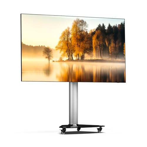 XTRARM Proton 100 mobiler TV Ständer, TV ca. 37-70 Zoll / 40 kg, viele VESA-Größen, Variable Höhe bis ca. 135 cm, Schwarz/Silber, TV-Standfuss von XTRARM