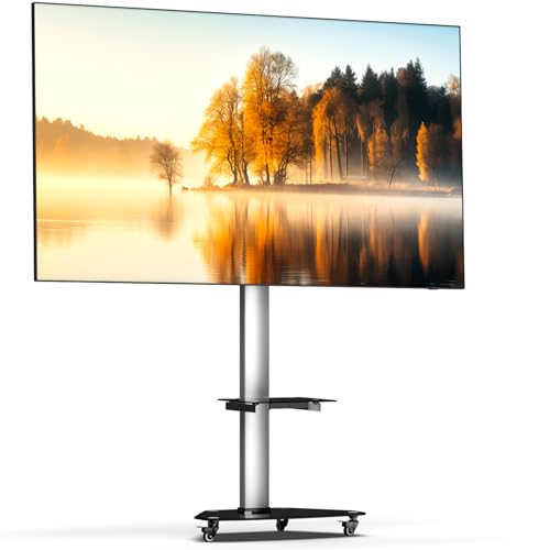 XTRARM Proton 300 mobiler TV Ständer mit Ablage, TV ca. 37-70 Zoll / 40 kg, viele VESA-Größen, Variable Höhe bis ca. 209 cm, Schwarz/Silber, TV-Standfuss von XTRARM