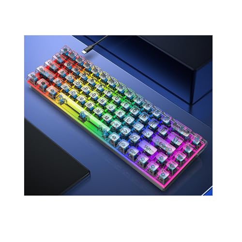 XUMIUZIY Clear Keyboard, 60% Mechanische Gaming Tastatur mit Blauen Schalter für Android System, RGB 68 Tasten Kompakte Transparente Tastaturen, Vollständige Anti Ghosting von XUMIUZIY