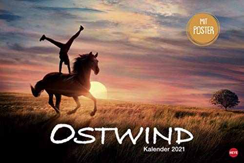 Ostwind Broschurkalender XL - Kalender 2021 - Wandkalender mit Poster - 45cm x 30 cm (offen 45 cm x 60 cm) von XYZ