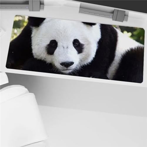 Xinyuer Mauspad XXL Panda Tier Mauspad Gaming 900x400x2mm Große Tastaturmatte Waschbares mit Rutschfester Basis für Zuhause und Büro Xinyuer Mauspad XXL Panda Tier Mauspad Gaming 900x400x2mm Große Tastaturmatte Waschbares mit Rutschfester Basis für Zuhause und Büro von Xinyuer