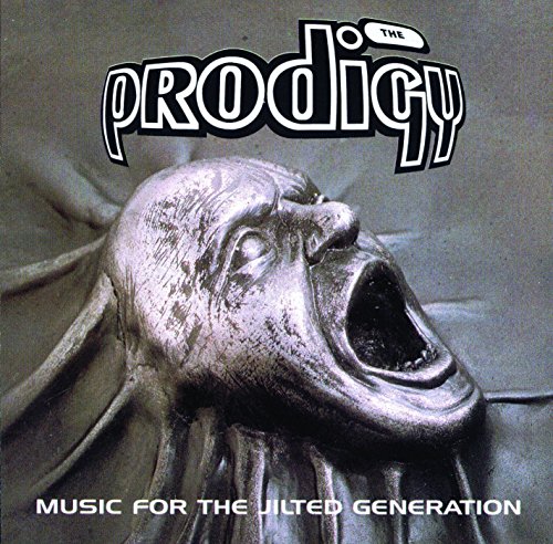 Music for the Jilted Generation [Vinyl LP] von Xl Recordings