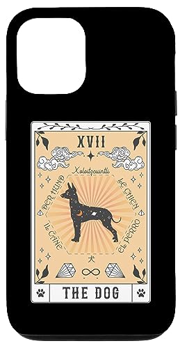 Tarotkarte Der Hund Xoloitzcuintli Himmlische Hülle für iPhone 12/12 Pro Tarotkarte Der Hund Xoloitzcuintli Himmlische Hülle für iPhone 12/12 Pro von Xoloitzcuintli Tarot Dogs Celestial Retro