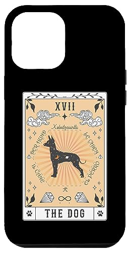 Tarotkarte Der Hund Xoloitzcuintli Himmlische Hülle für iPhone 12 Pro Max Tarotkarte Der Hund Xoloitzcuintli Himmlische Hülle für iPhone 12 Pro Max von Xoloitzcuintli Tarot Dogs Celestial Retro