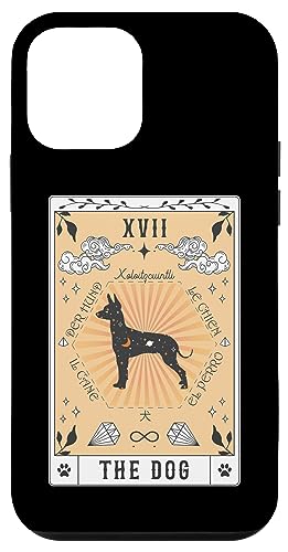 Tarotkarte Der Hund Xoloitzcuintli Himmlische Hülle für iPhone 12 mini Tarotkarte Der Hund Xoloitzcuintli Himmlische Hülle für iPhone 12 mini von Xoloitzcuintli Tarot Dogs Celestial Retro