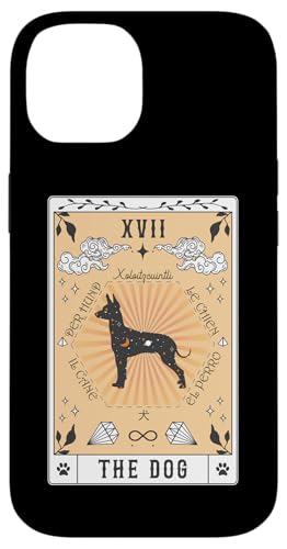 Tarotkarte Der Hund Xoloitzcuintli Himmlische Hülle für iPhone 14 Tarotkarte Der Hund Xoloitzcuintli Himmlische Hülle für iPhone 14 von Xoloitzcuintli Tarot Dogs Celestial Retro
