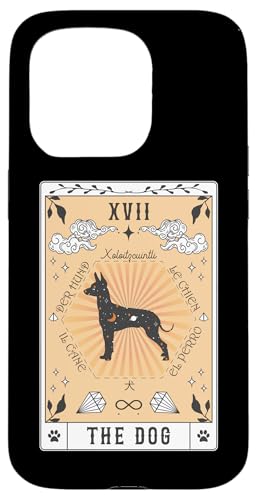 Tarotkarte Der Hund Xoloitzcuintli Himmlische Hülle für iPhone 15 Pro Tarotkarte Der Hund Xoloitzcuintli Himmlische Hülle für iPhone 15 Pro von Xoloitzcuintli Tarot Dogs Celestial Retro
