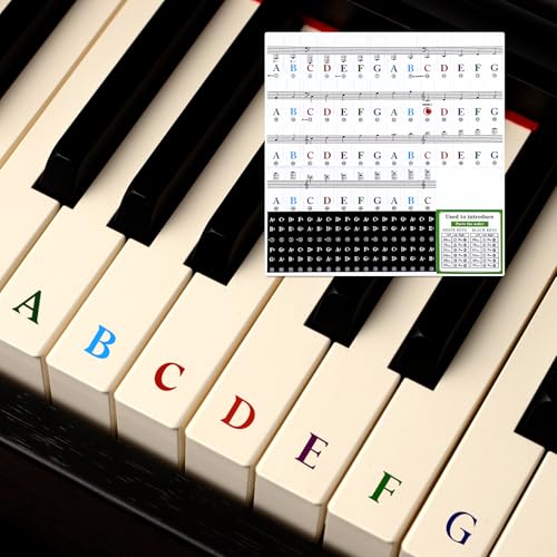 Klavier Tastatur Aufkleber für 88/76/61/54/49/37 Tasten Bunte Buchstaben Klavier Tasten Aufkleber Abnehmbare Klavier Tastatur Noten Aufkleber Etiketten mit Notenlinien Notenführer für Anfänger von Xthrotsenk