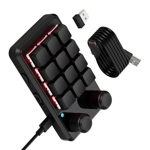 YAOGUI Anpassbare Makros-Tastaturen mit 12 Tasten RGBs, Beleuchtung, zwei Reglerknöpfen, Empfänger und USB-C-Kabel von YAOGUI